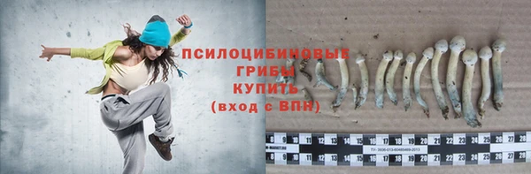 кокс Баксан